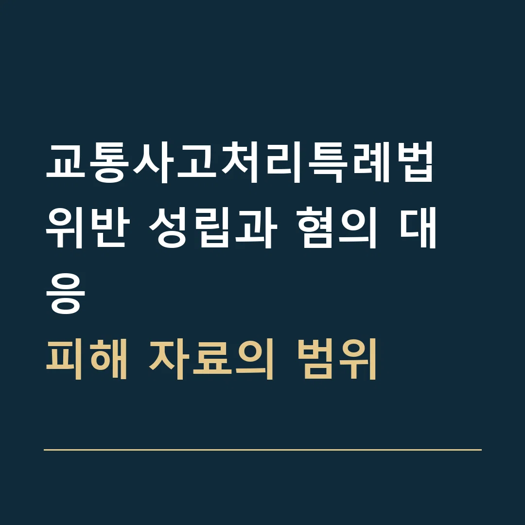 교통사고처리특례법 위반 성립과 혐의 대응 · 피해 자료의 범위