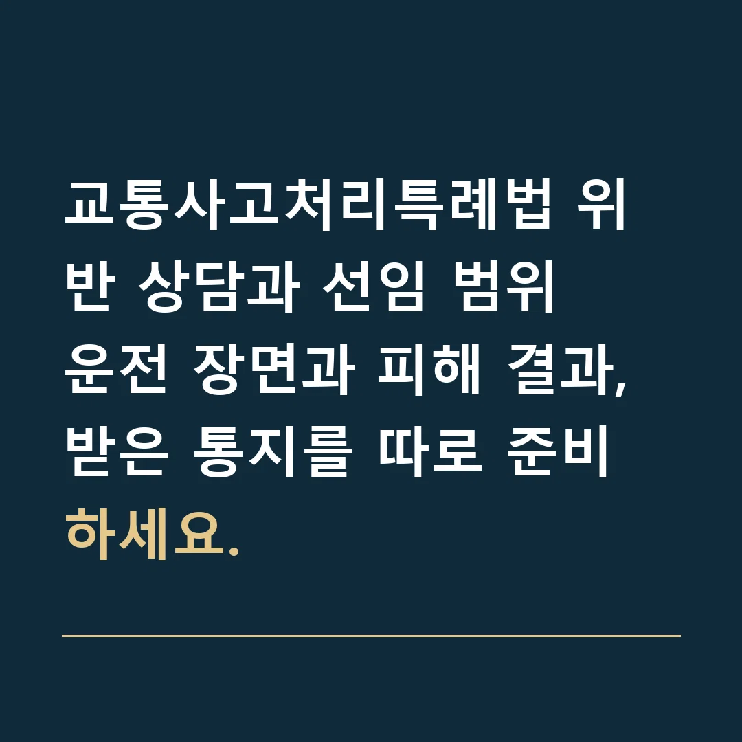 교통사고처리특례법 위반 상담과 선임 범위 · 운전 장면과 피해 결과, 받은 통지를 따로 준비하세요.