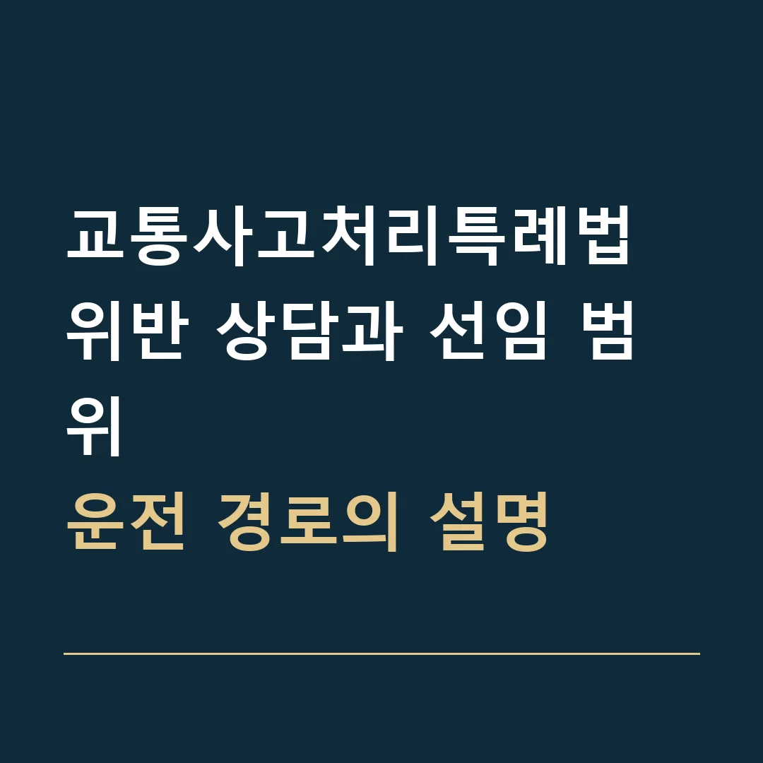 교통사고처리특례법 위반 상담과 선임 범위 · 운전 경로의 설명