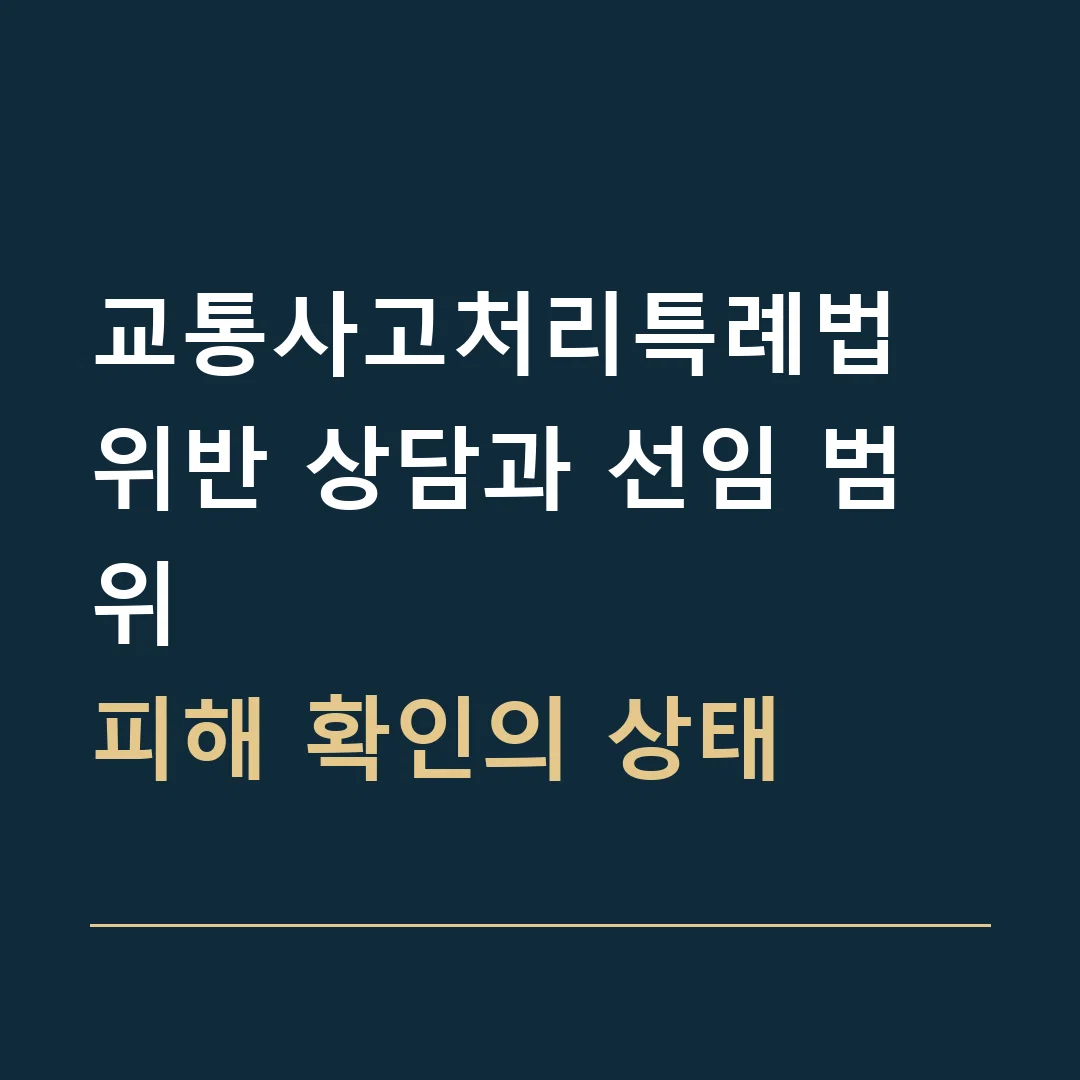 교통사고처리특례법 위반 상담과 선임 범위 · 피해 확인의 상태