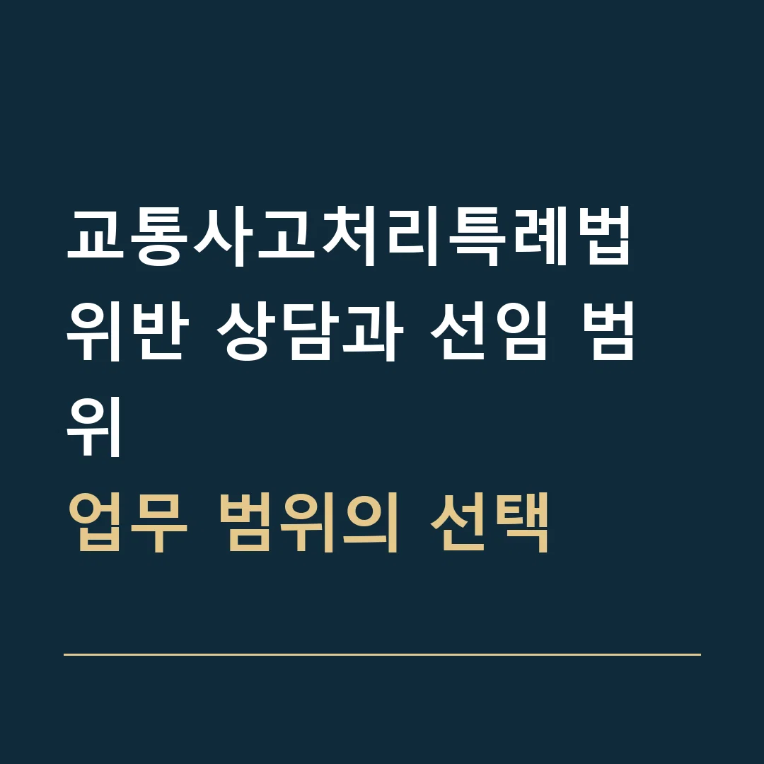 교통사고처리특례법 위반 상담과 선임 범위 · 업무 범위의 선택