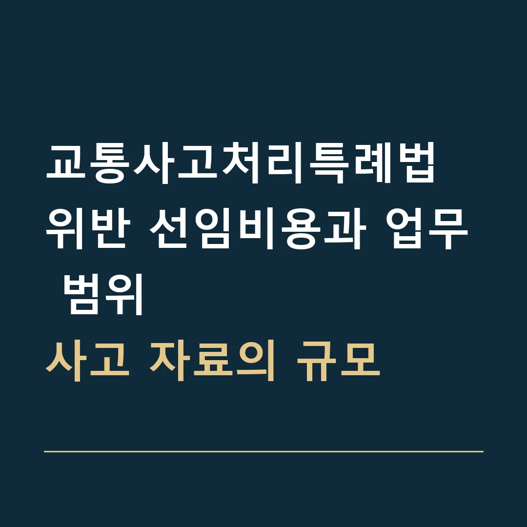 교통사고처리특례법 위반 선임비용과 업무 범위 · 사고 자료의 규모