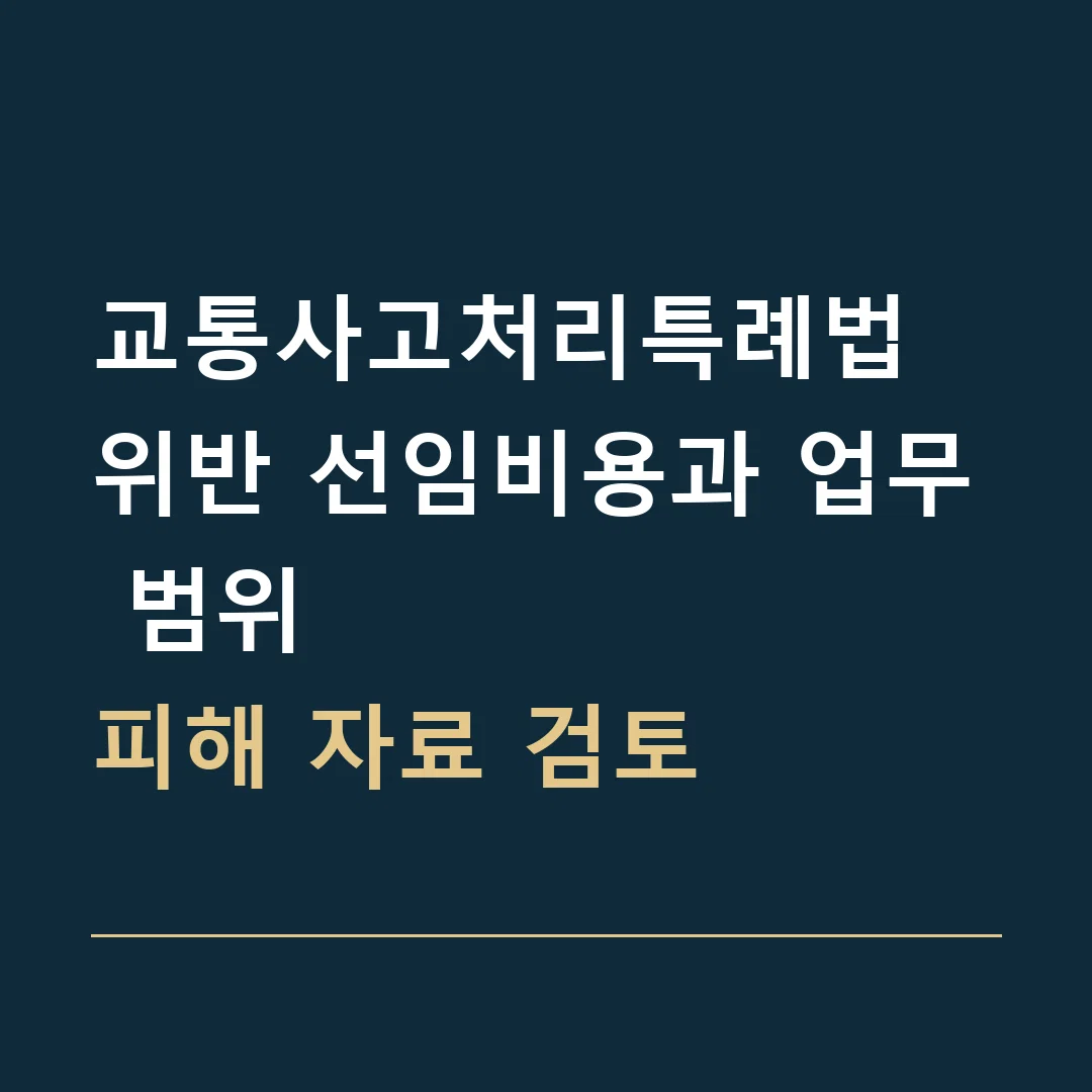 교통사고처리특례법 위반 선임비용과 업무 범위 · 피해 자료 검토