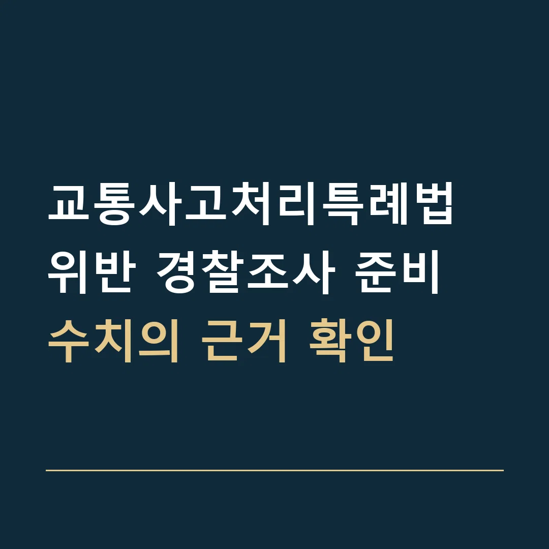 교통사고처리특례법 위반 경찰조사 준비 · 수치의 근거 확인