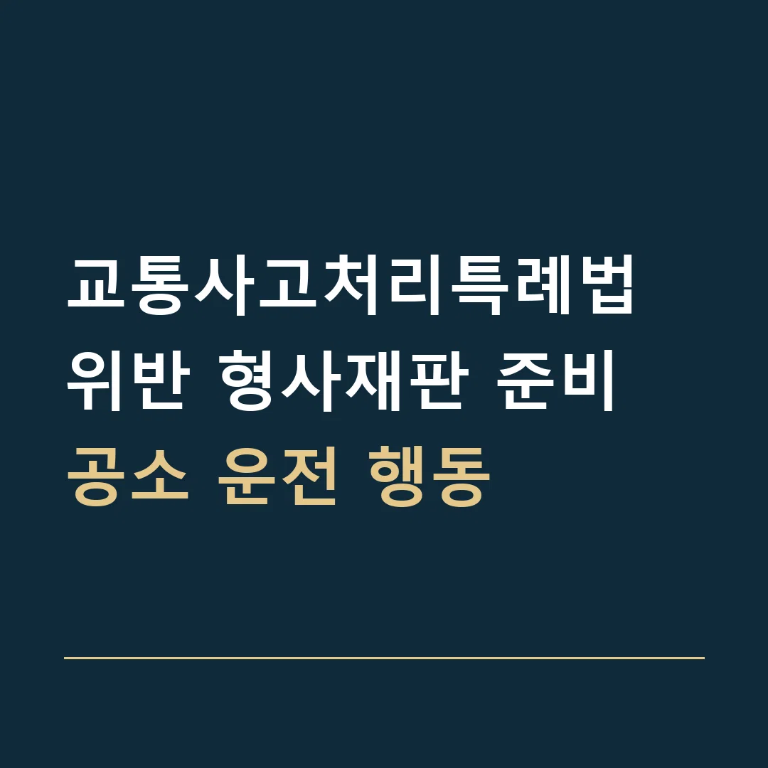 교통사고처리특례법 위반 형사재판 준비 · 공소 운전 행동