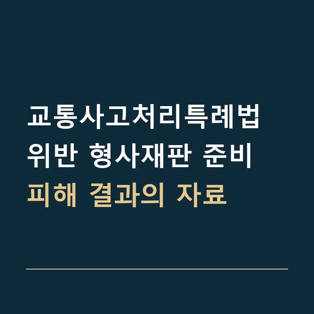 교통사고처리특례법 위반 형사재판 준비 · 피해 결과의 자료