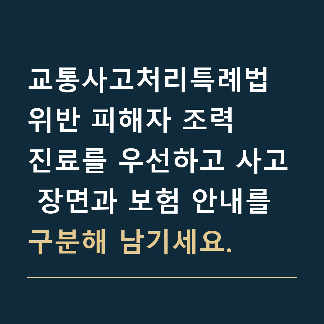교통사고처리특례법 위반 피해자 조력 · 진료를 우선하고 사고 장면과 보험 안내를 구분해 남기세요.