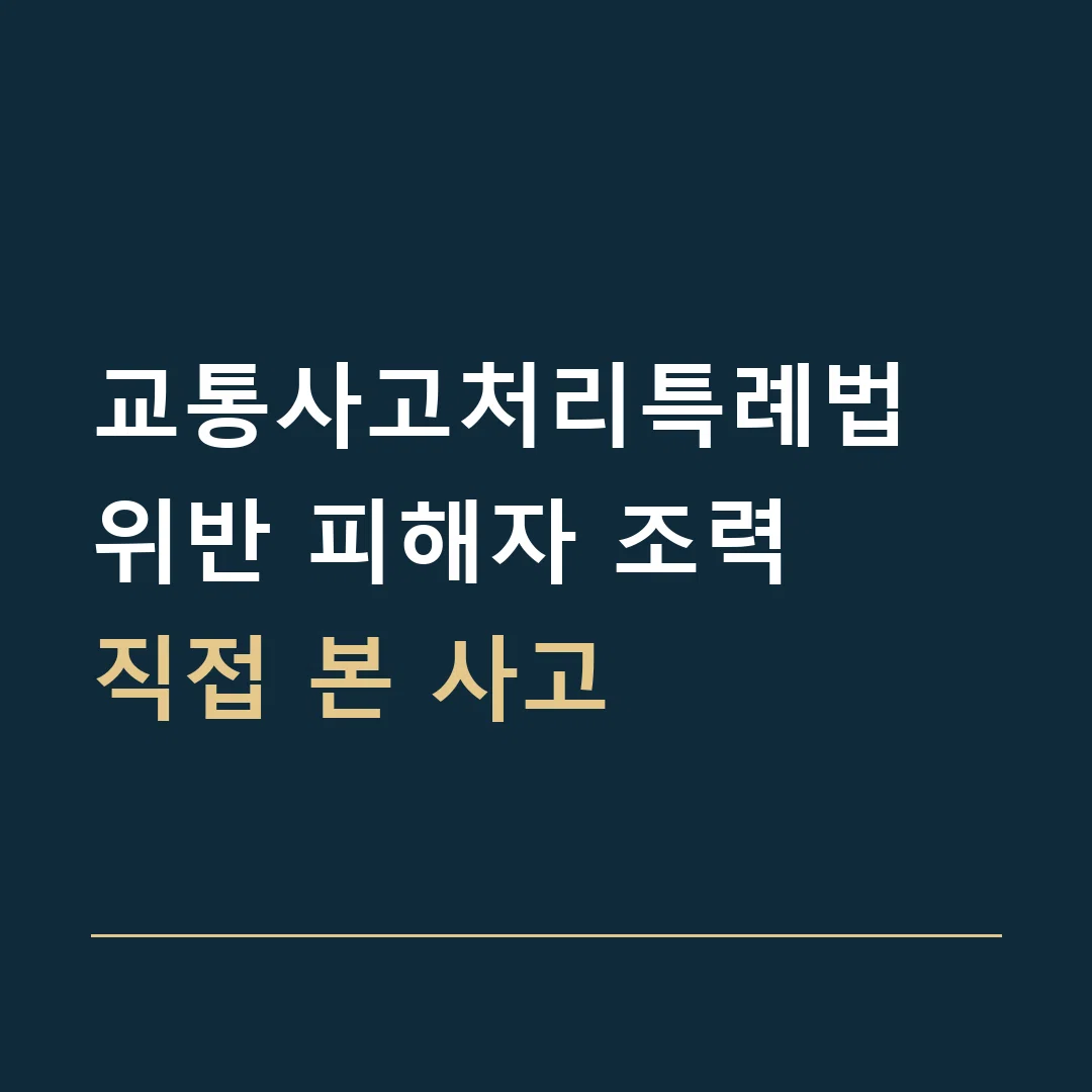 교통사고처리특례법 위반 피해자 조력 · 직접 본 사고