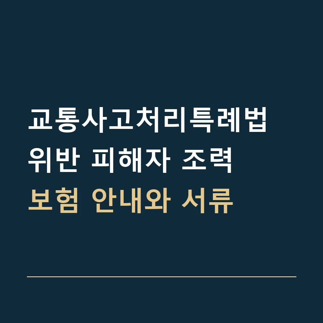 교통사고처리특례법 위반 피해자 조력 · 보험 안내와 서류