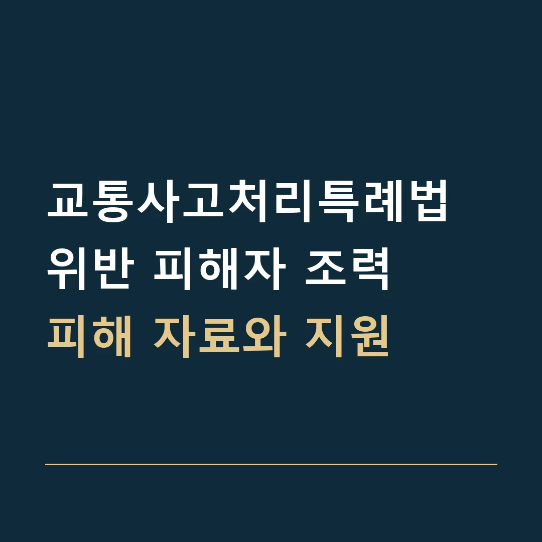 교통사고처리특례법 위반 피해자 조력 · 피해 자료와 지원