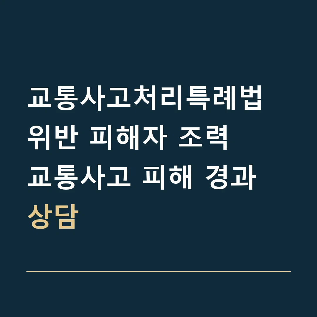 교통사고처리특례법 위반 피해자 조력 · 교통사고 피해 경과 상담