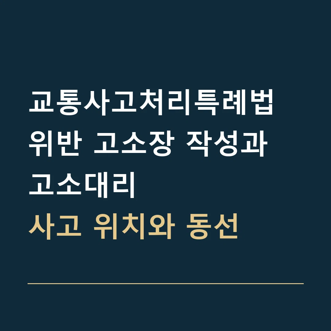 교통사고처리특례법 위반 고소장 작성과 고소대리 · 사고 위치와 동선
