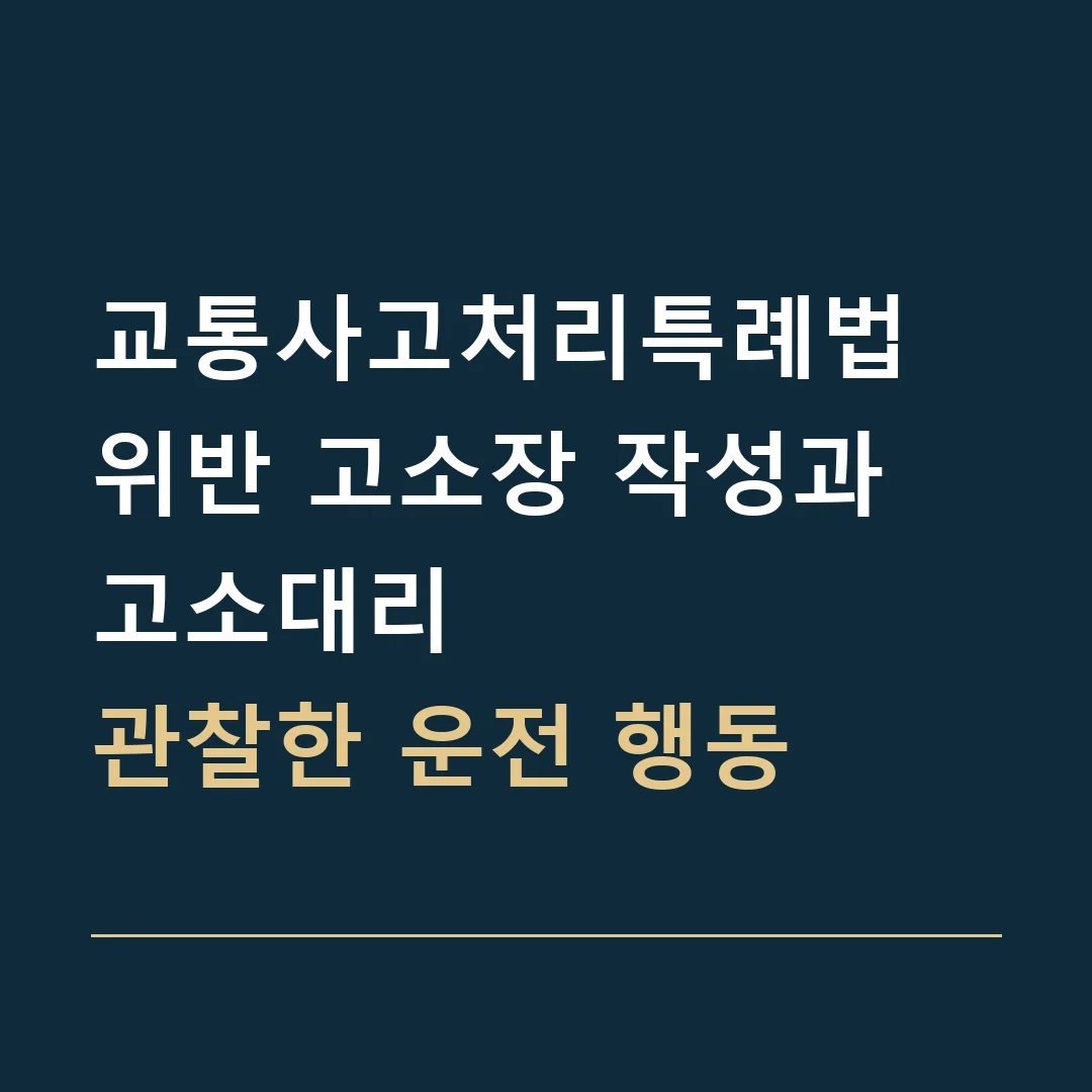 교통사고처리특례법 위반 고소장 작성과 고소대리 · 관찰한 운전 행동
