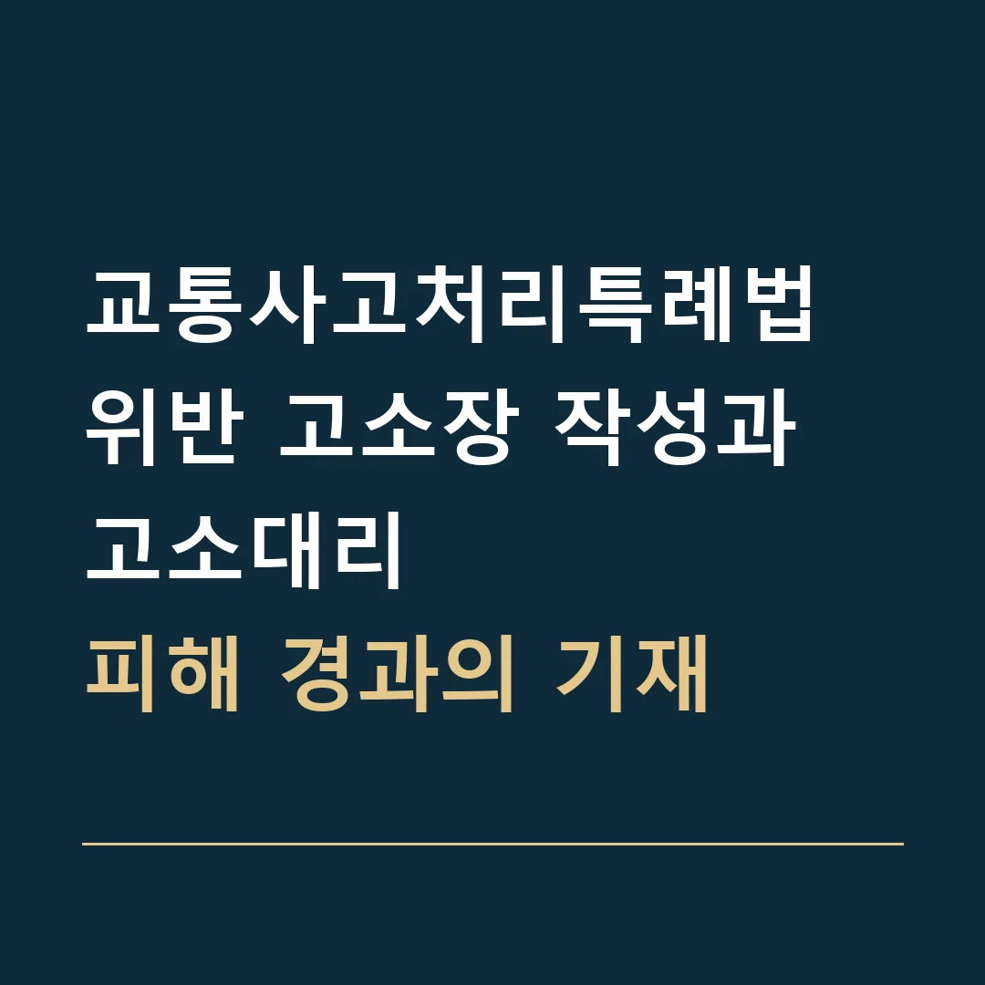 교통사고처리특례법 위반 고소장 작성과 고소대리 · 피해 경과의 기재
