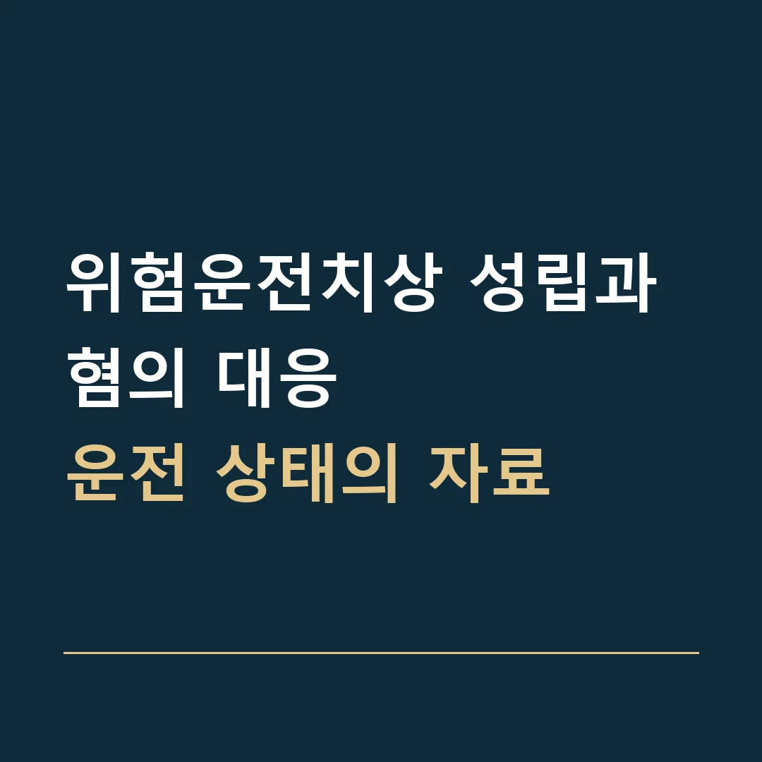 위험운전치상 성립과 혐의 대응 · 운전 상태의 자료