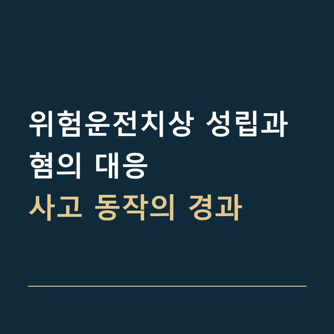 위험운전치상 성립과 혐의 대응 · 사고 동작의 경과