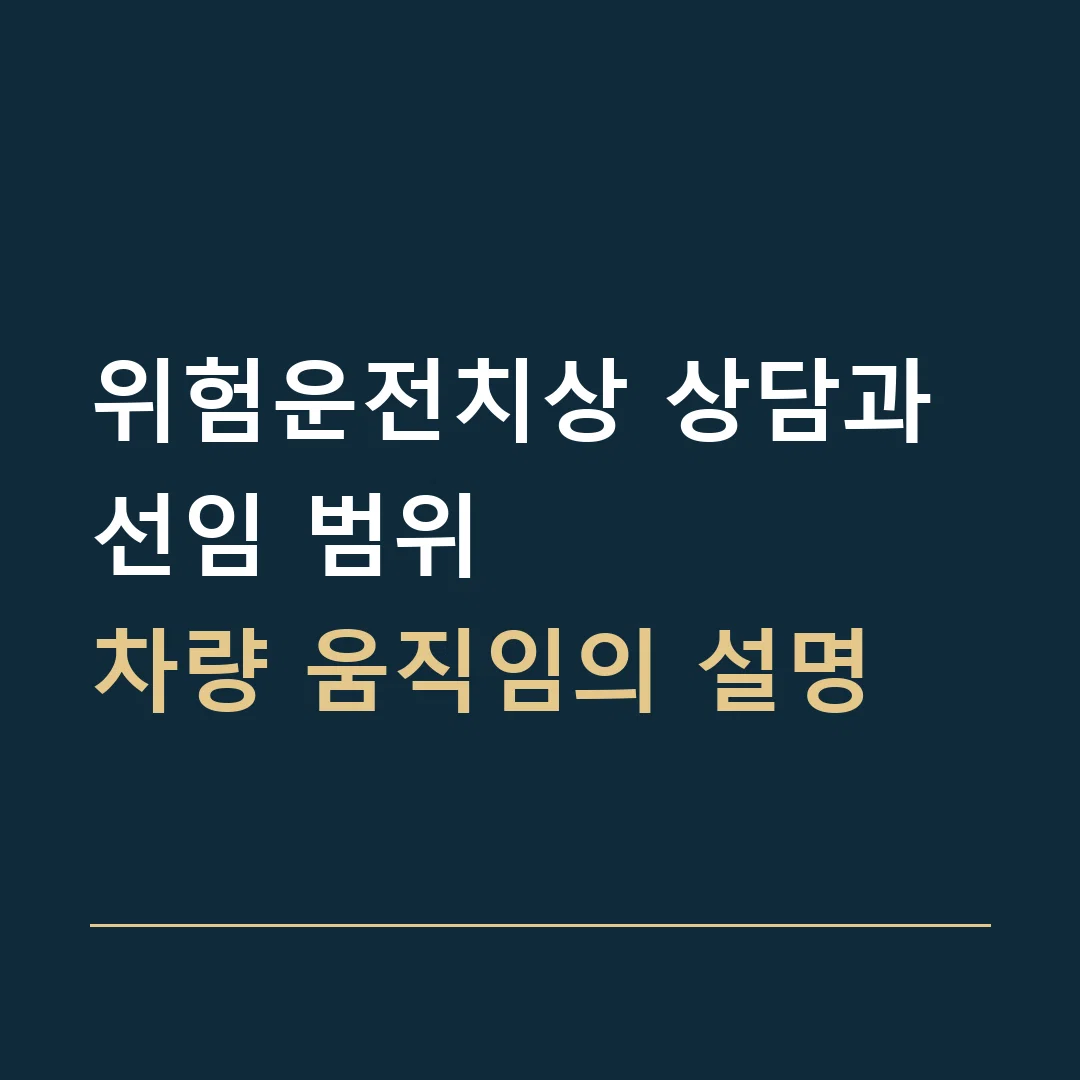 위험운전치상 상담과 선임 범위 · 차량 움직임의 설명
