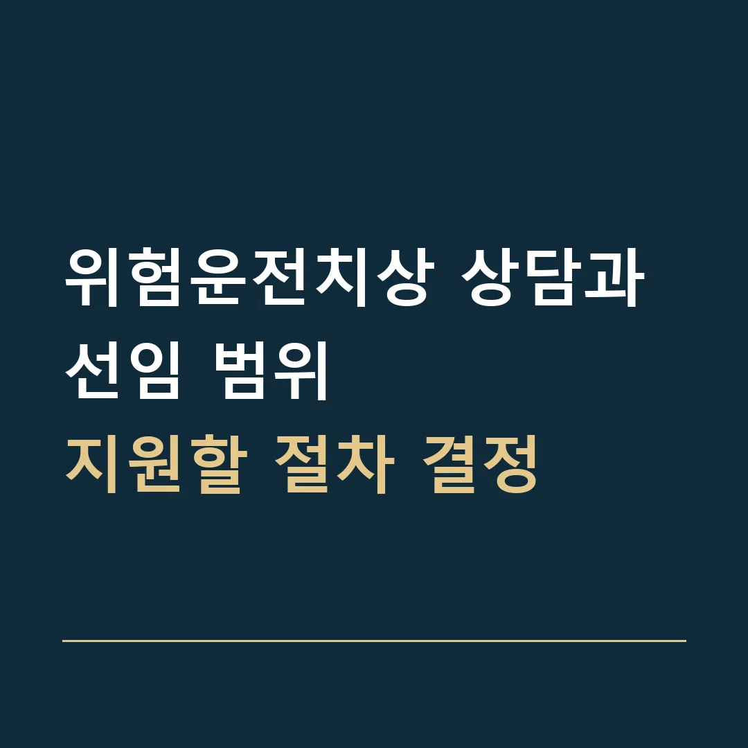 위험운전치상 상담과 선임 범위 · 지원할 절차 결정