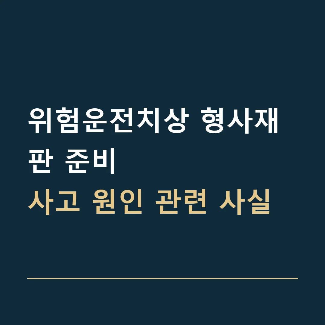 위험운전치상 형사재판 준비 · 사고 원인 관련 사실