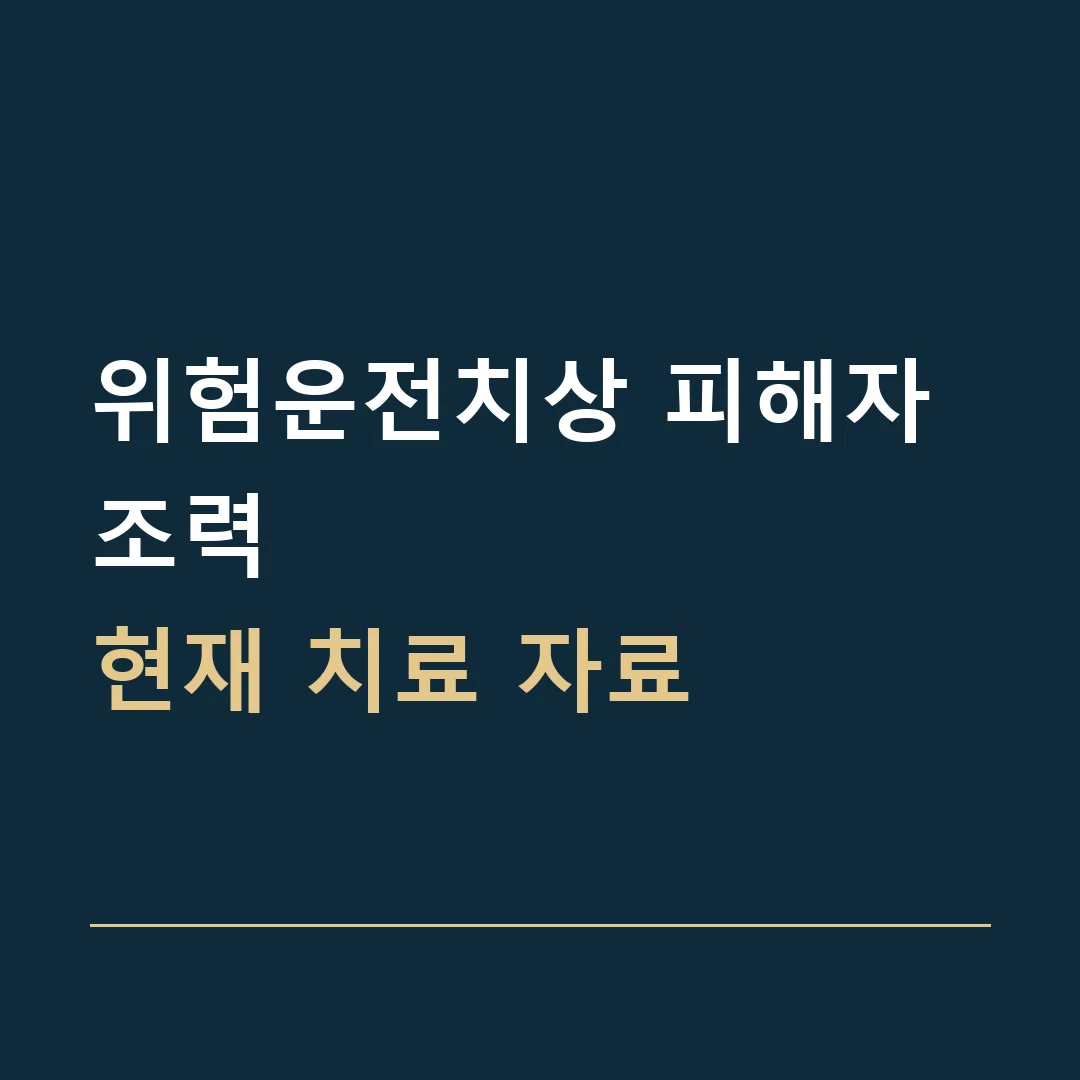 위험운전치상 피해자 조력 · 현재 치료 자료