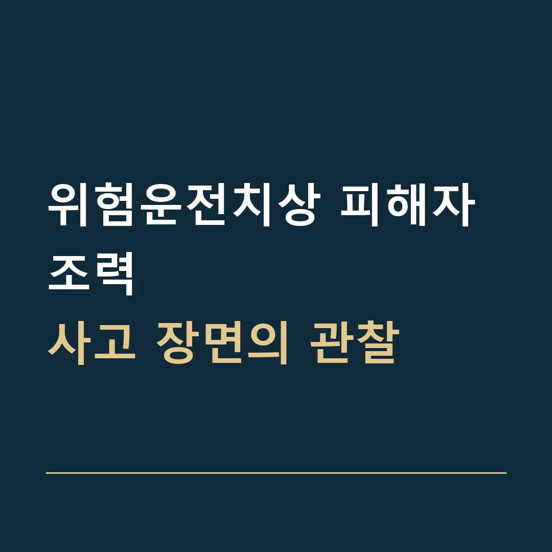 위험운전치상 피해자 조력 · 사고 장면의 관찰