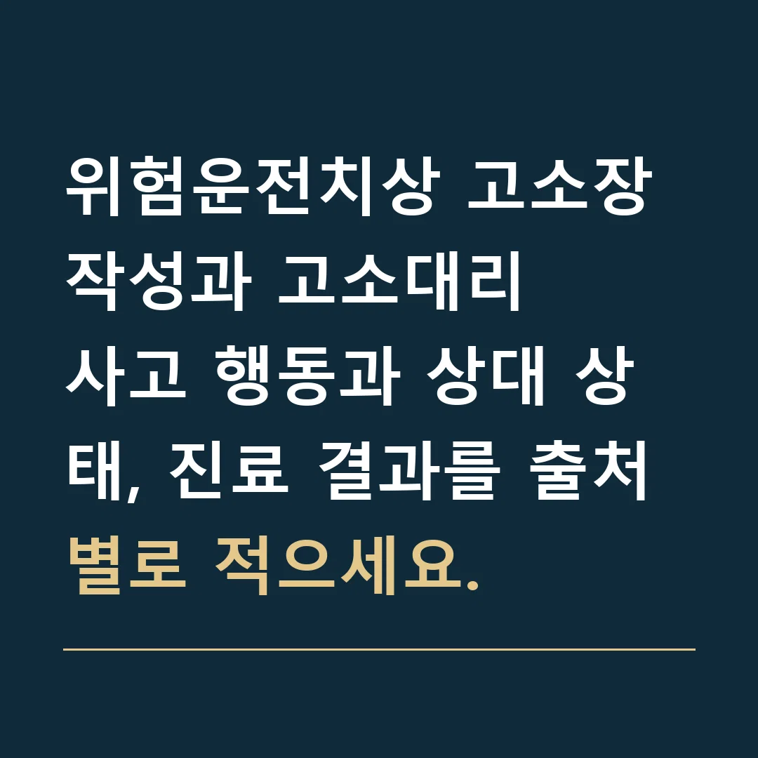 위험운전치상 고소장 작성과 고소대리 · 사고 행동과 상대 상태, 진료 결과를 출처별로 적으세요.