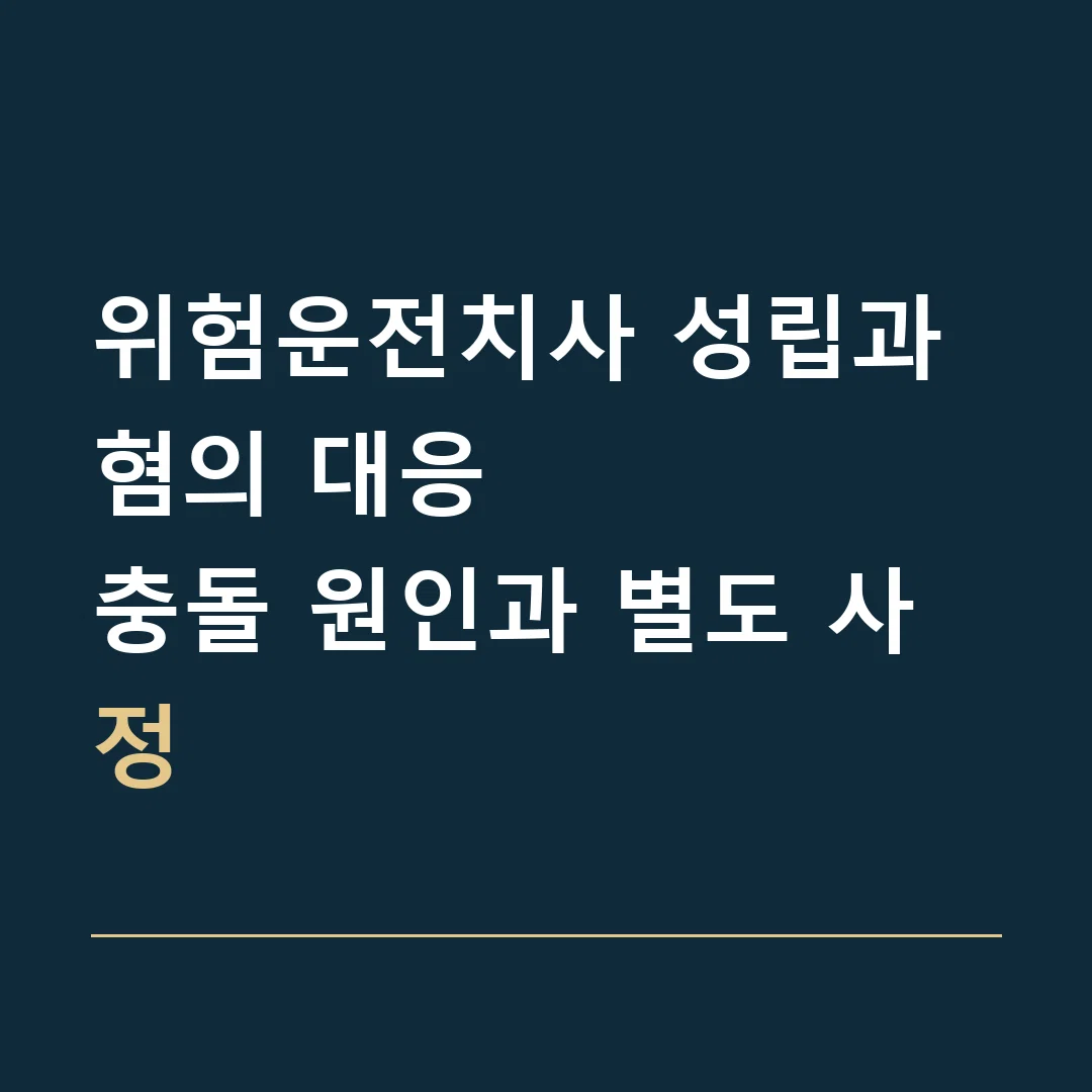 위험운전치사 성립과 혐의 대응 · 충돌 원인과 별도 사정