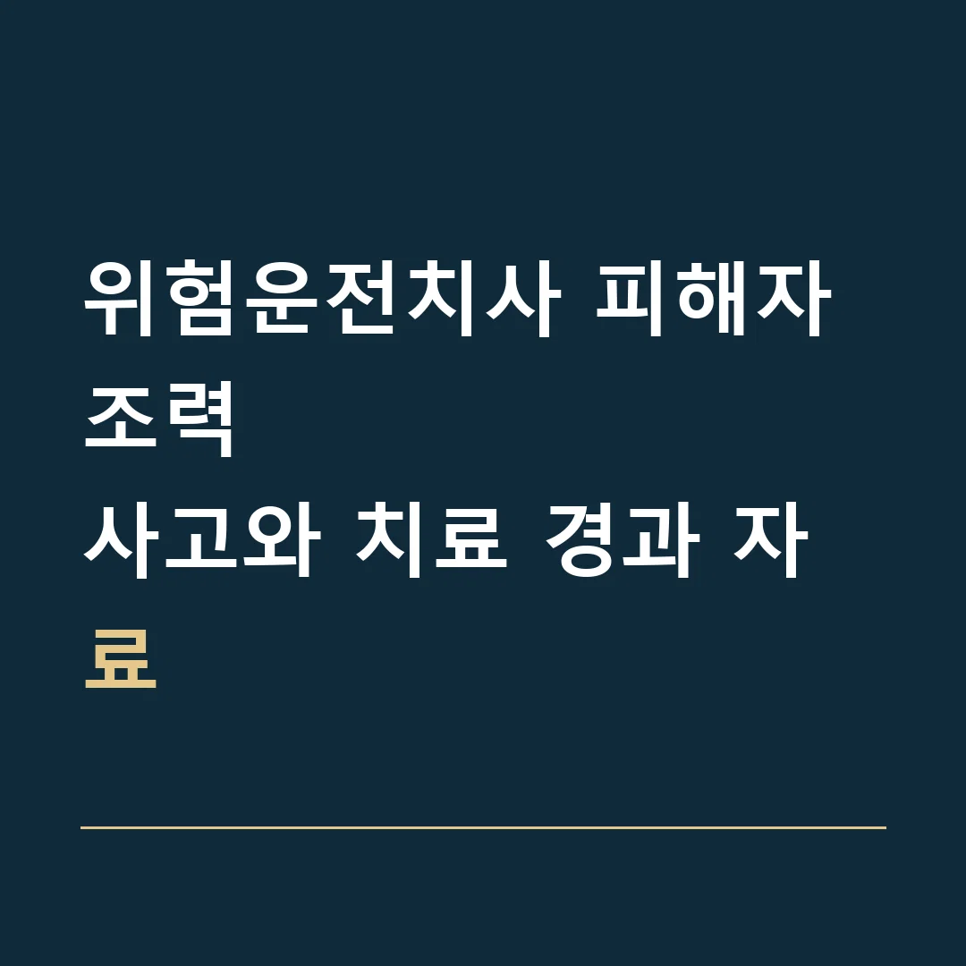 위험운전치사 피해자 조력 · 사고와 치료 경과 자료