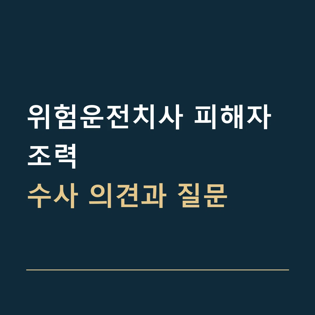 위험운전치사 피해자 조력 · 수사 의견과 질문