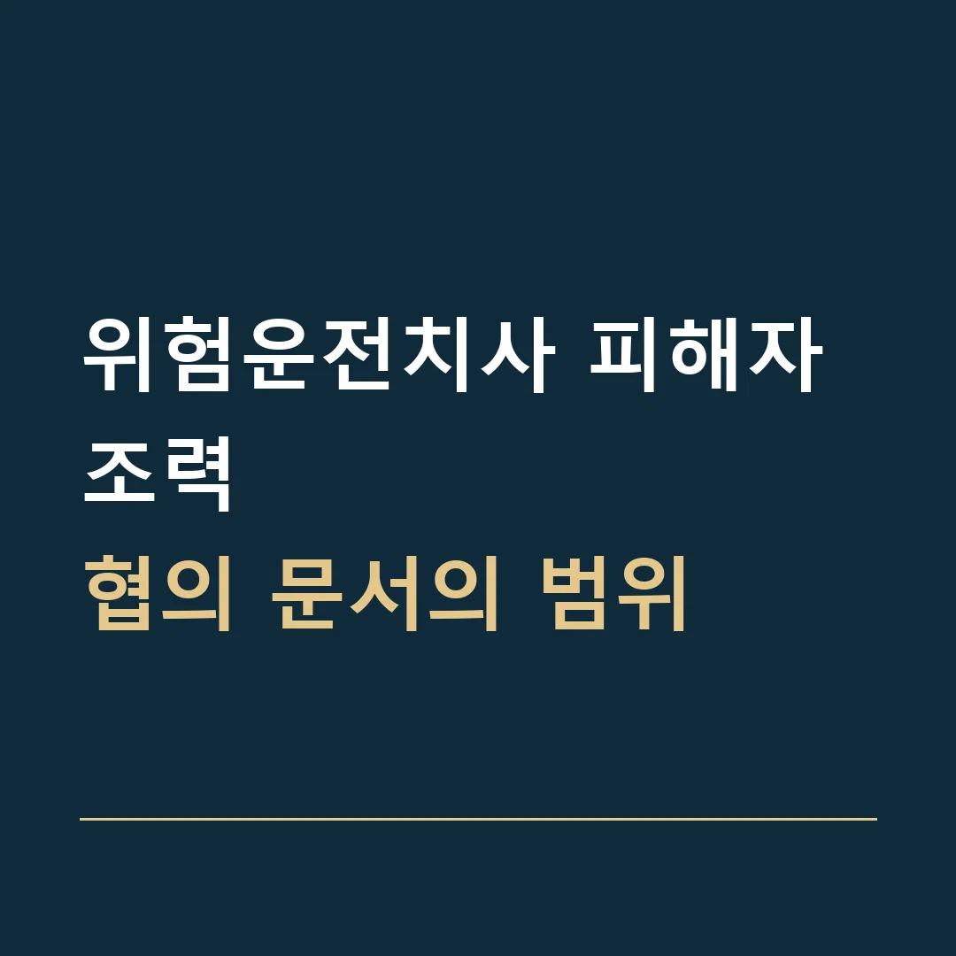 위험운전치사 피해자 조력 · 협의 문서의 범위