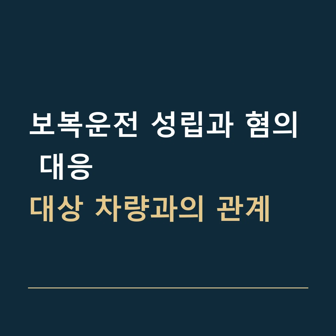보복운전 성립과 혐의 대응 · 대상 차량과의 관계