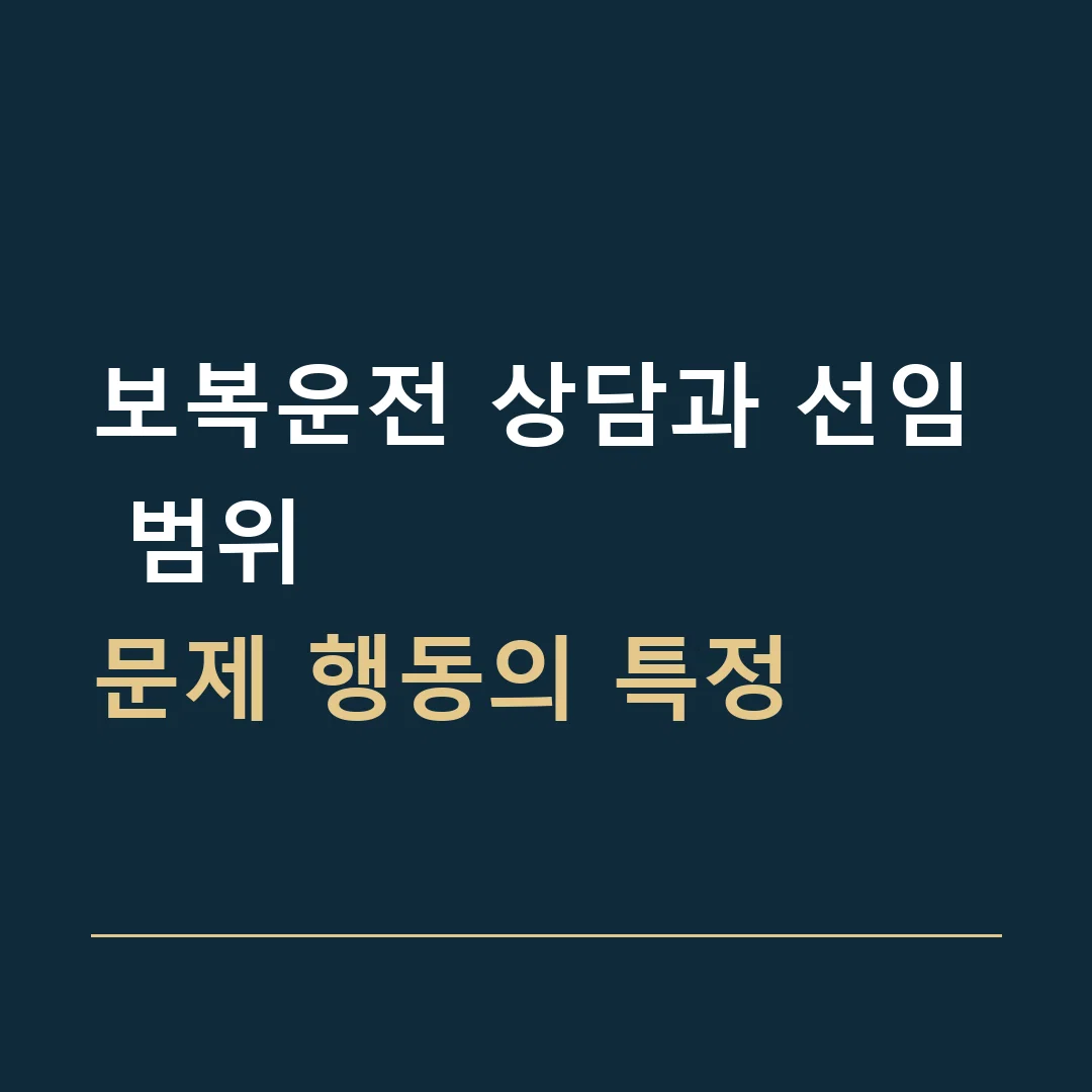 보복운전 상담과 선임 범위 · 문제 행동의 특정