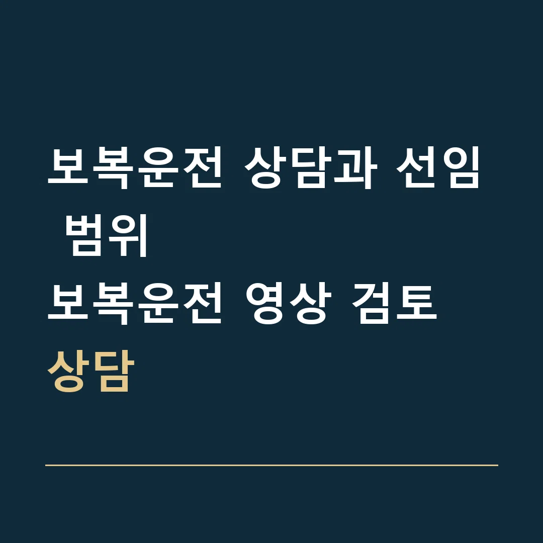 보복운전 상담과 선임 범위 · 보복운전 영상 검토 상담