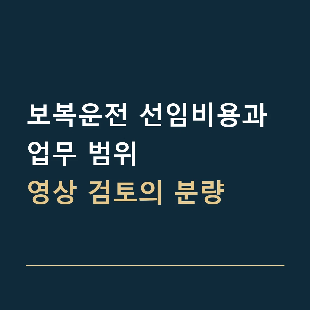 보복운전 선임비용과 업무 범위 · 영상 검토의 분량