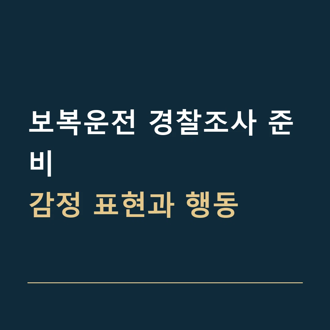 보복운전 경찰조사 준비 · 감정 표현과 행동