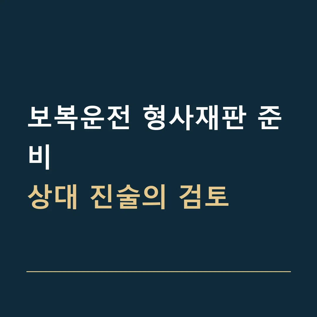 보복운전 형사재판 준비 · 상대 진술의 검토