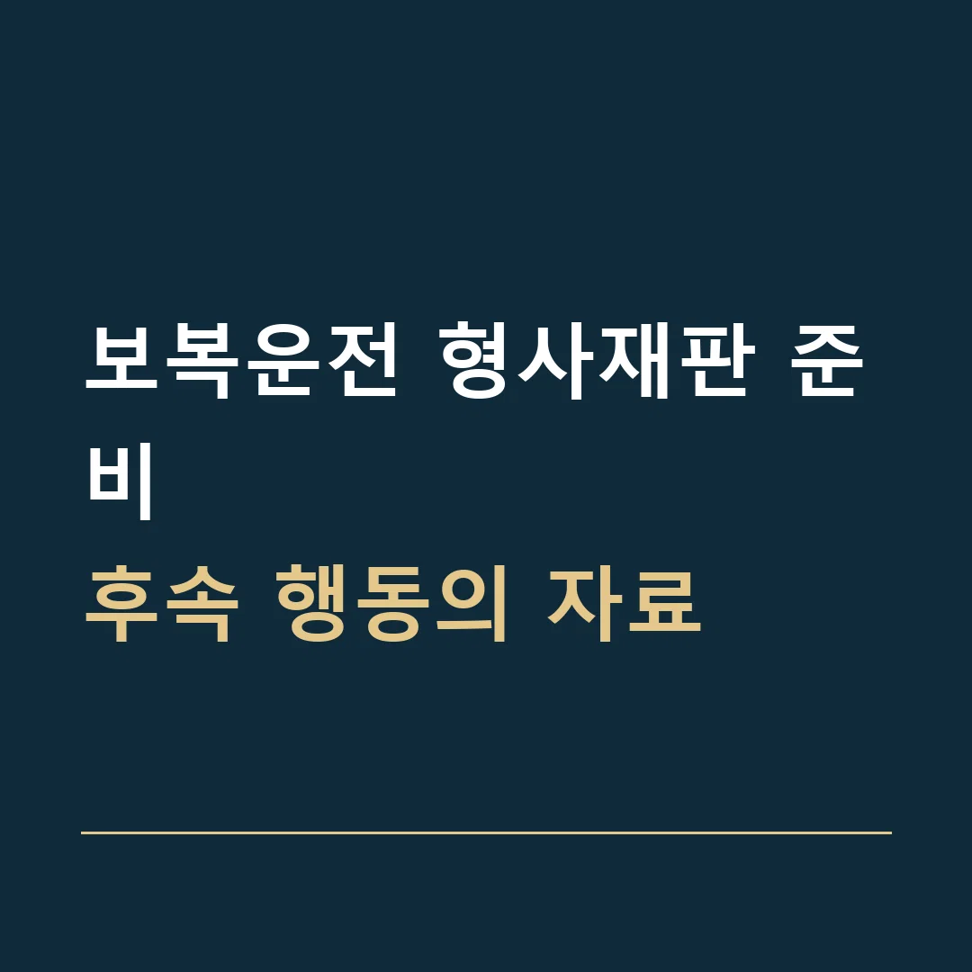 보복운전 형사재판 준비 · 후속 행동의 자료