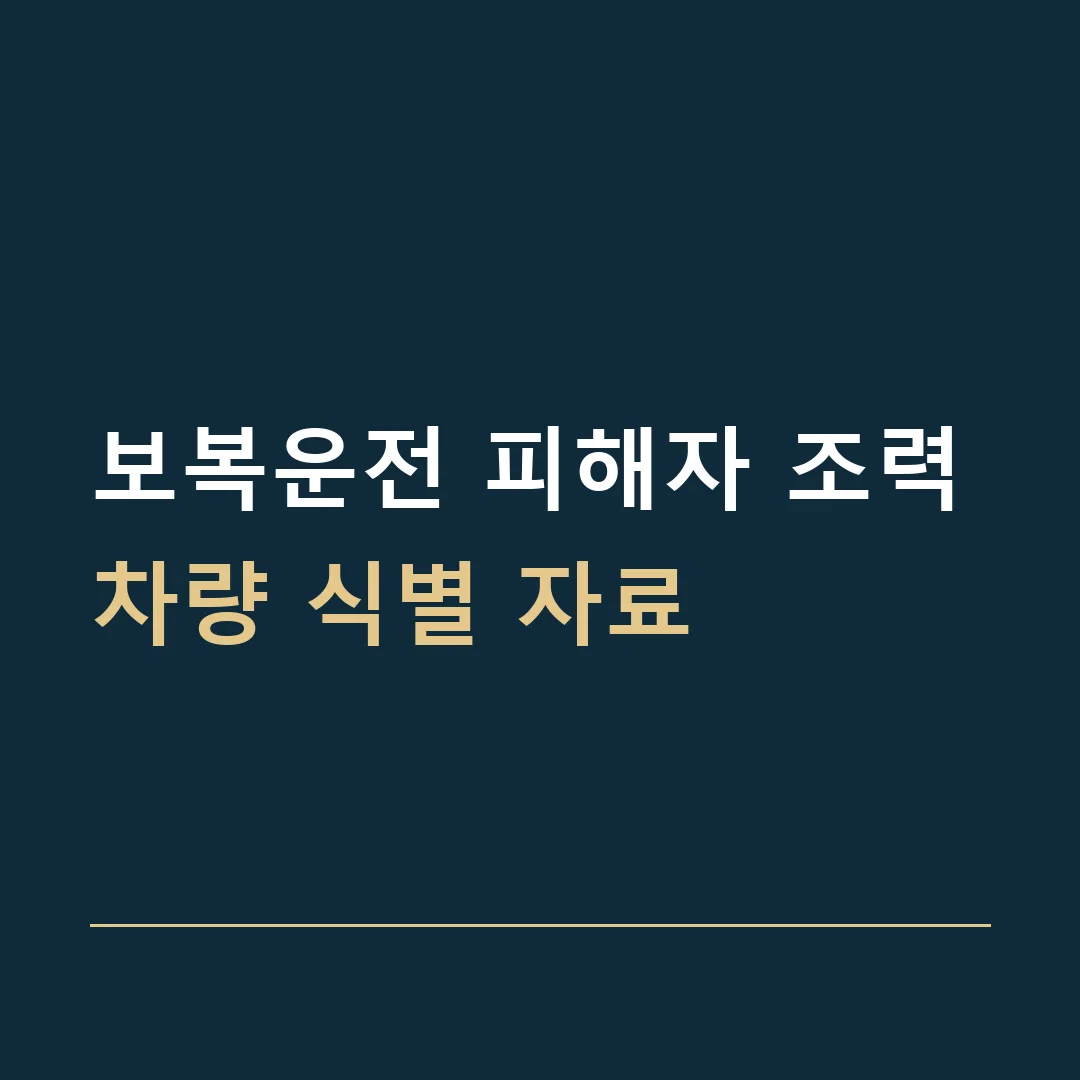 보복운전 피해자 조력 · 차량 식별 자료