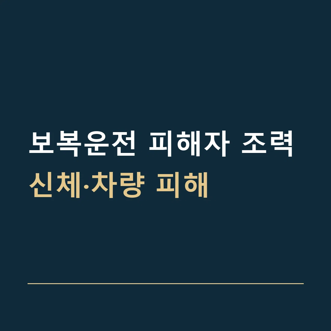보복운전 피해자 조력 · 신체·차량 피해