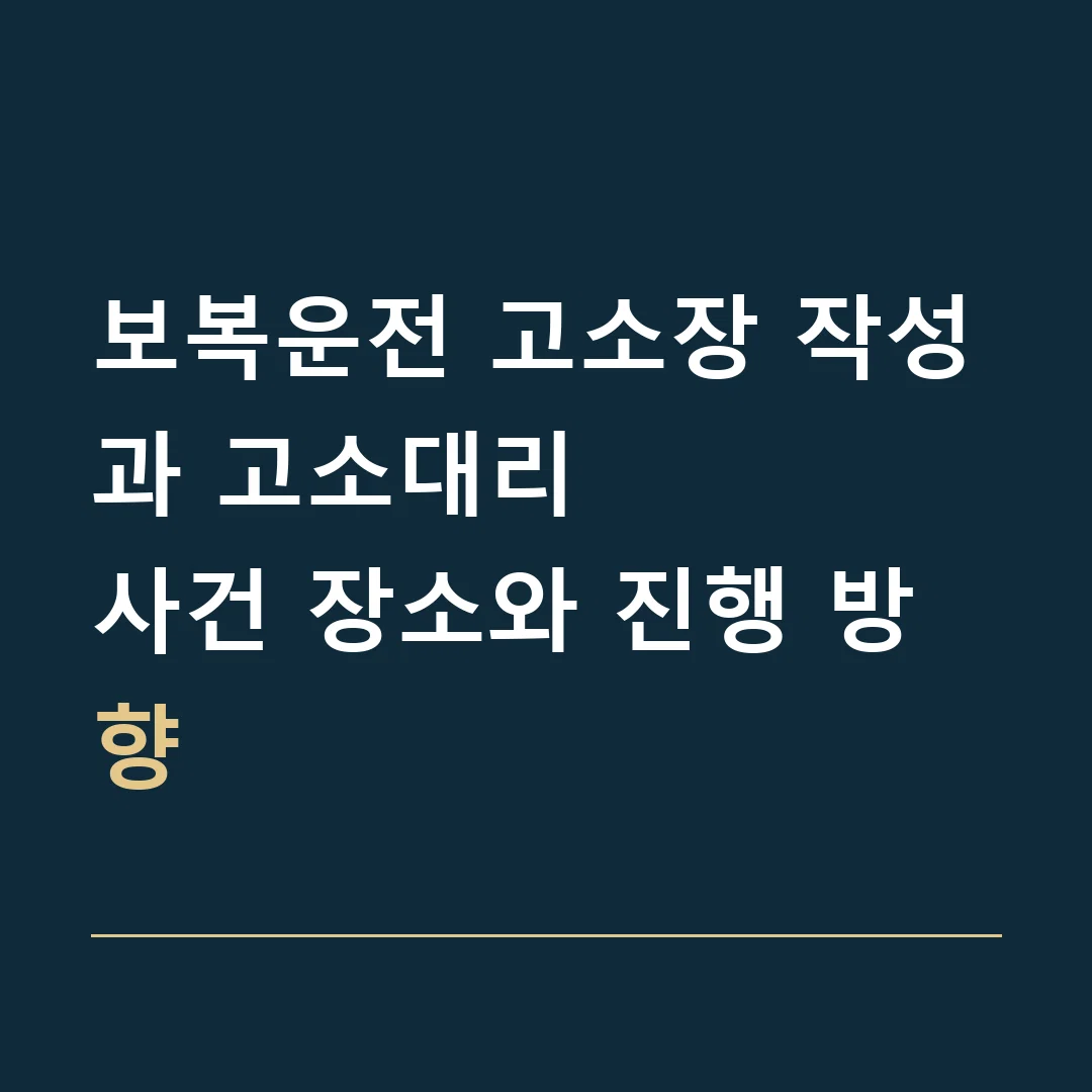 보복운전 고소장 작성과 고소대리 · 사건 장소와 진행 방향