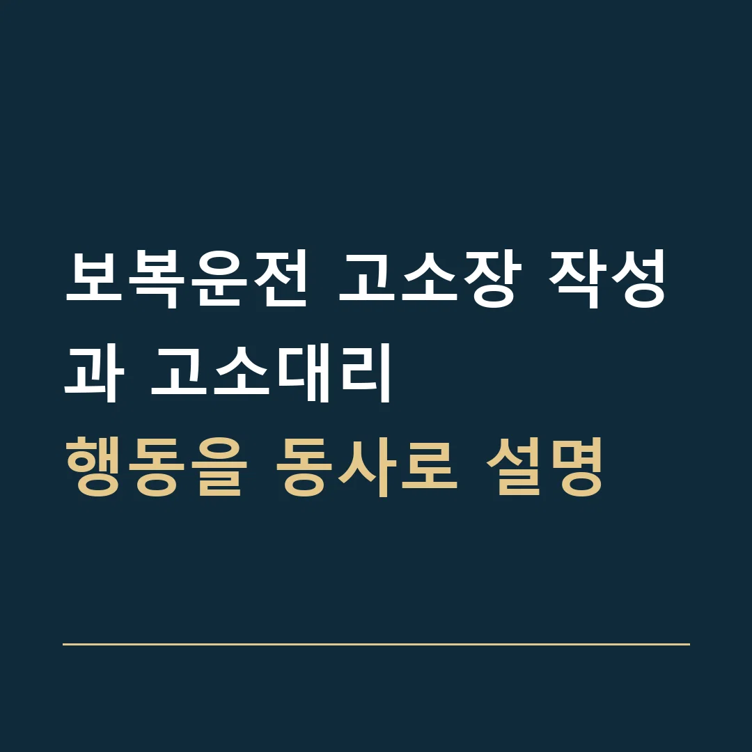 보복운전 고소장 작성과 고소대리 · 행동을 동사로 설명