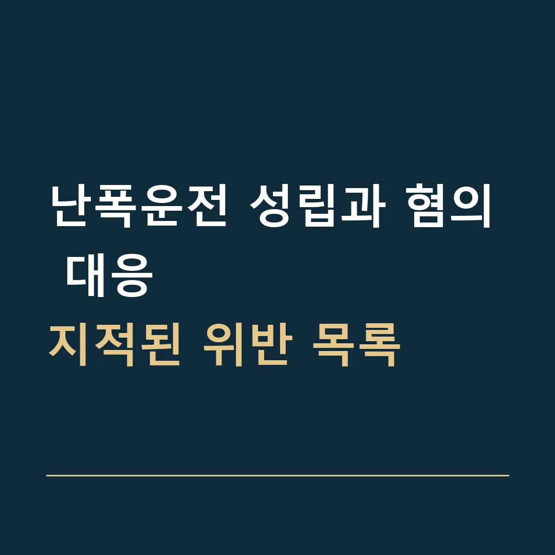 난폭운전 성립과 혐의 대응 · 지적된 위반 목록