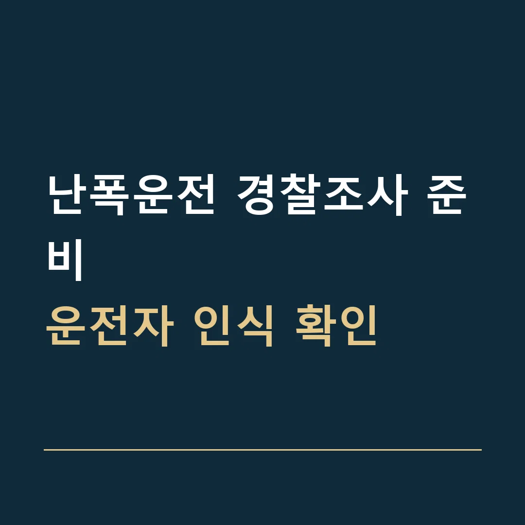 난폭운전 경찰조사 준비 · 운전자 인식 확인