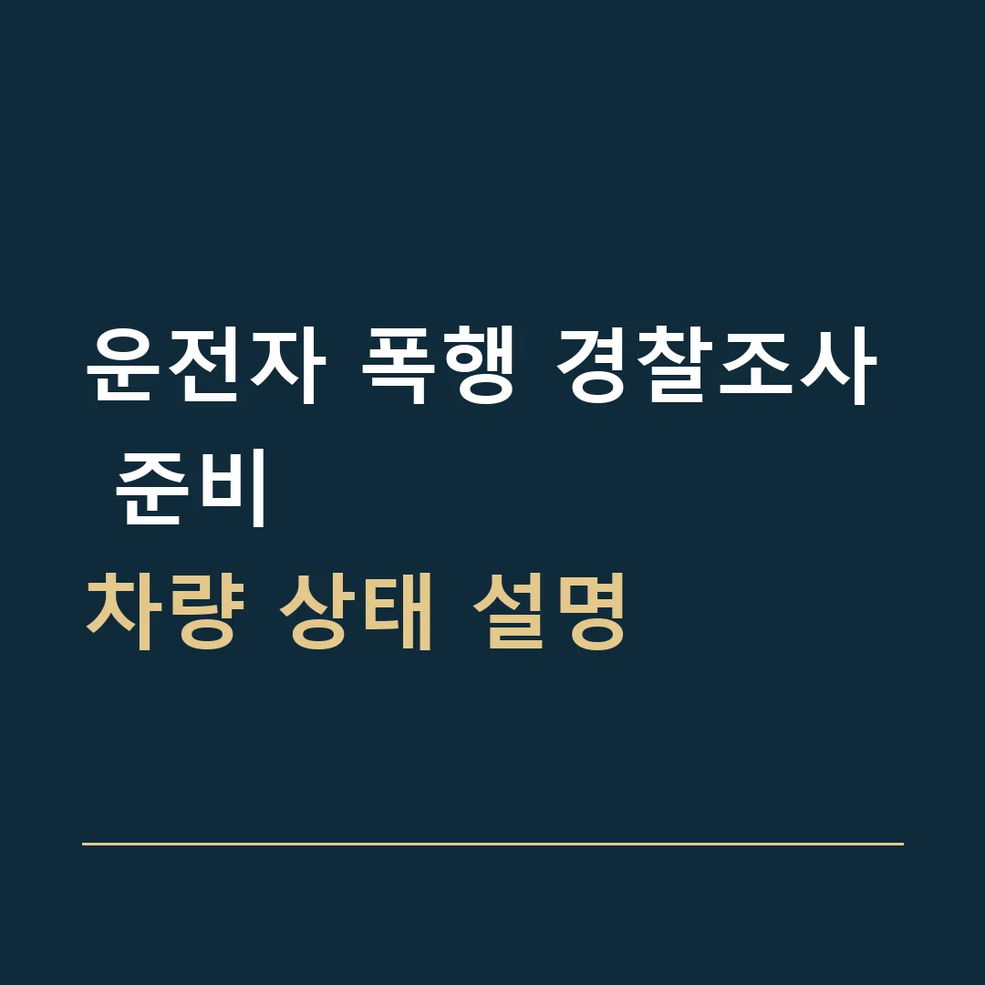 운전자 폭행 경찰조사 준비 · 차량 상태 설명