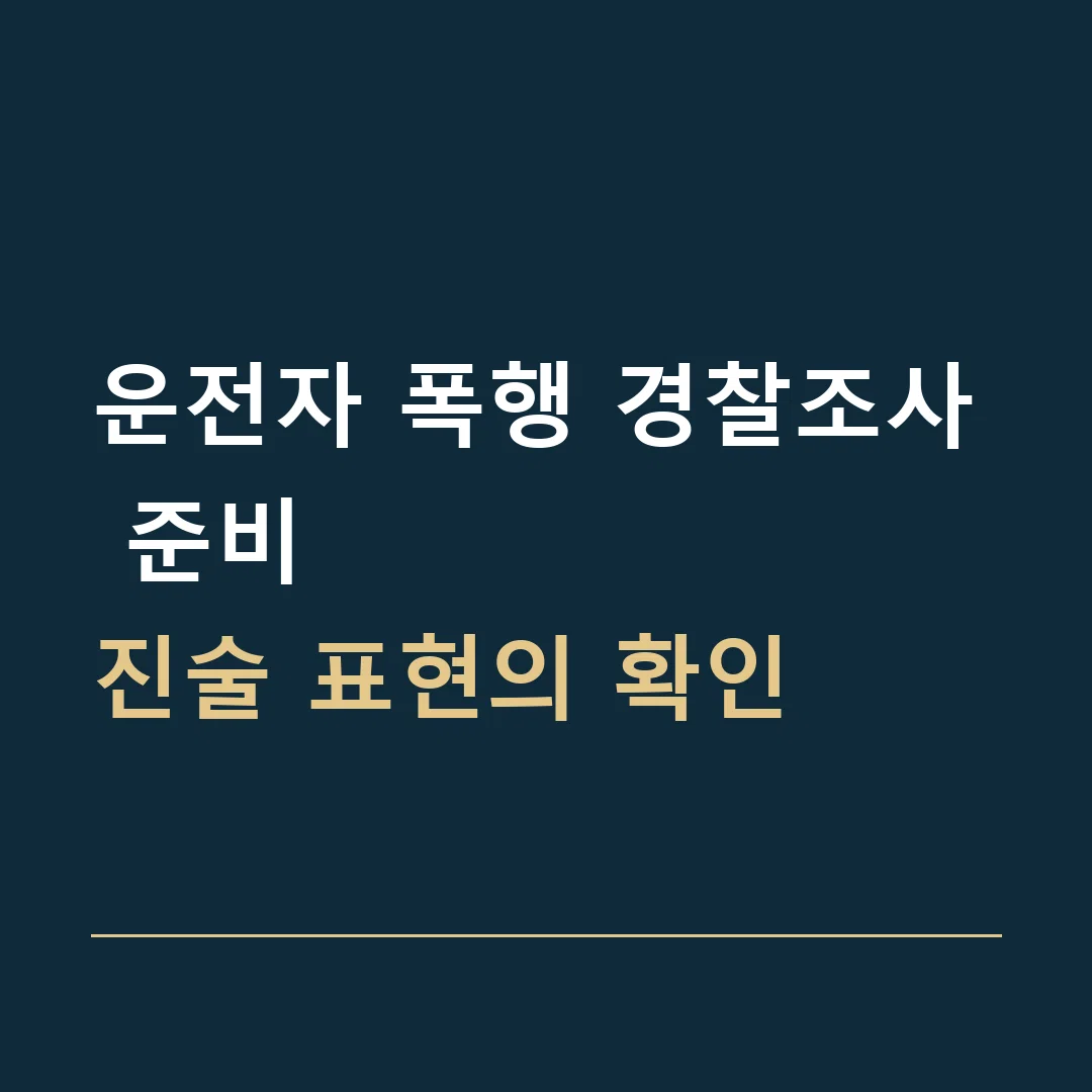 운전자 폭행 경찰조사 준비 · 진술 표현의 확인