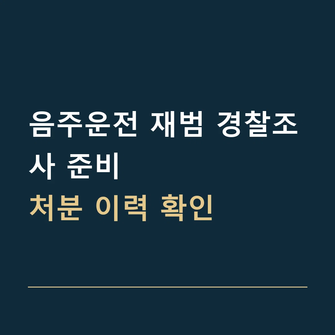음주운전 재범 경찰조사 준비 · 처분 이력 확인