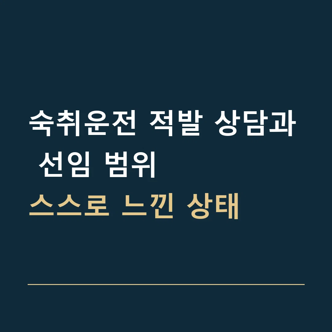 숙취운전 적발 상담과 선임 범위 · 스스로 느낀 상태