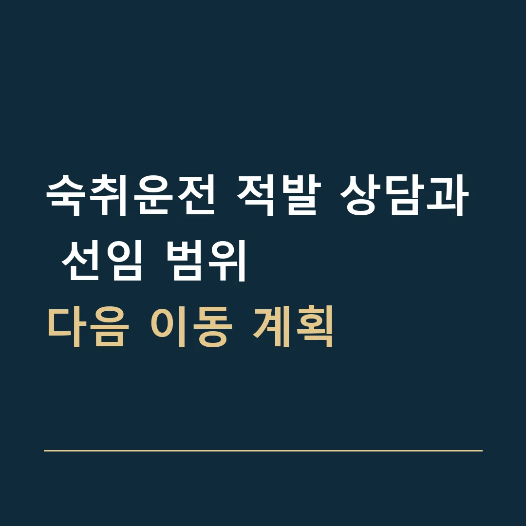 숙취운전 적발 상담과 선임 범위 · 다음 이동 계획