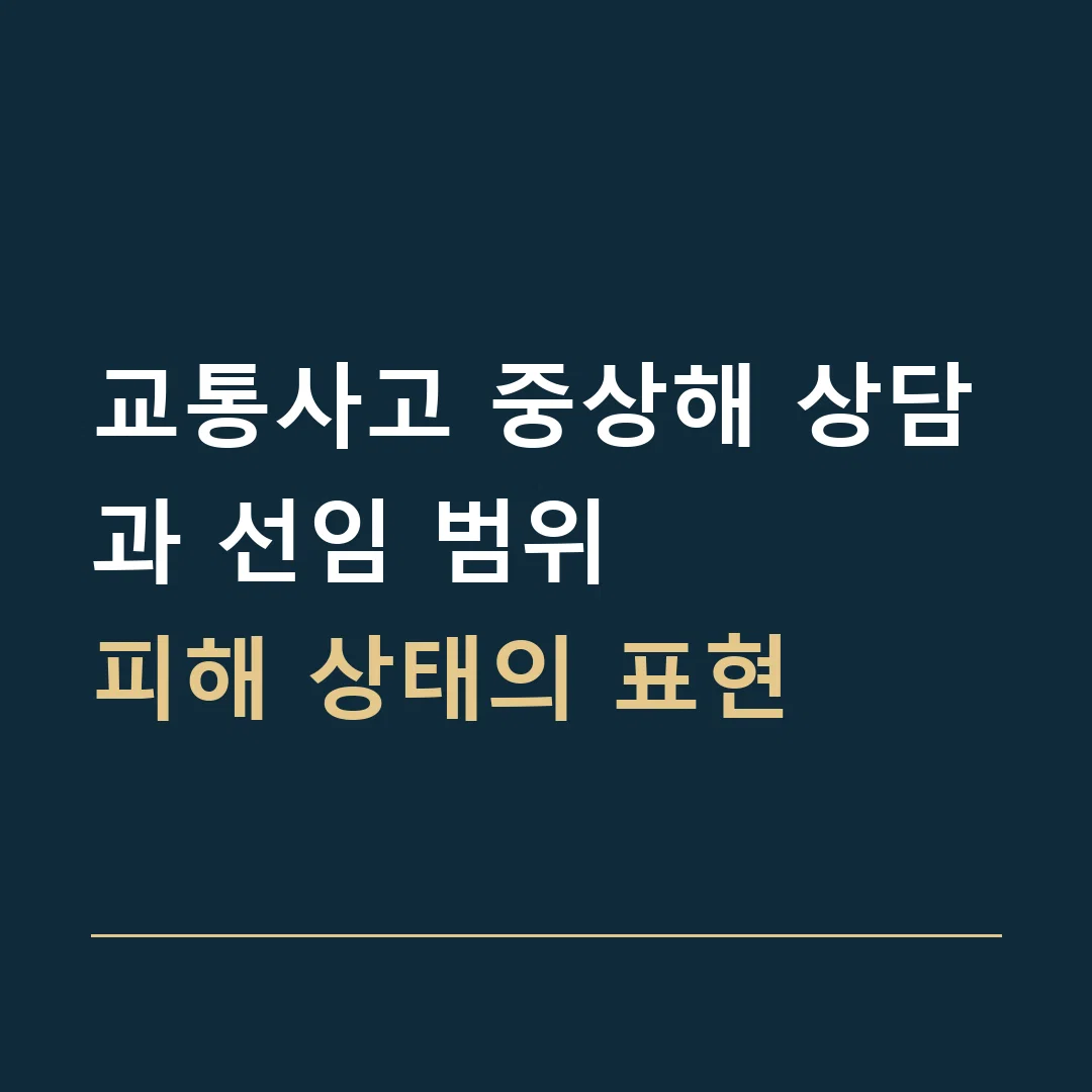 교통사고 중상해 상담과 선임 범위 · 피해 상태의 표현