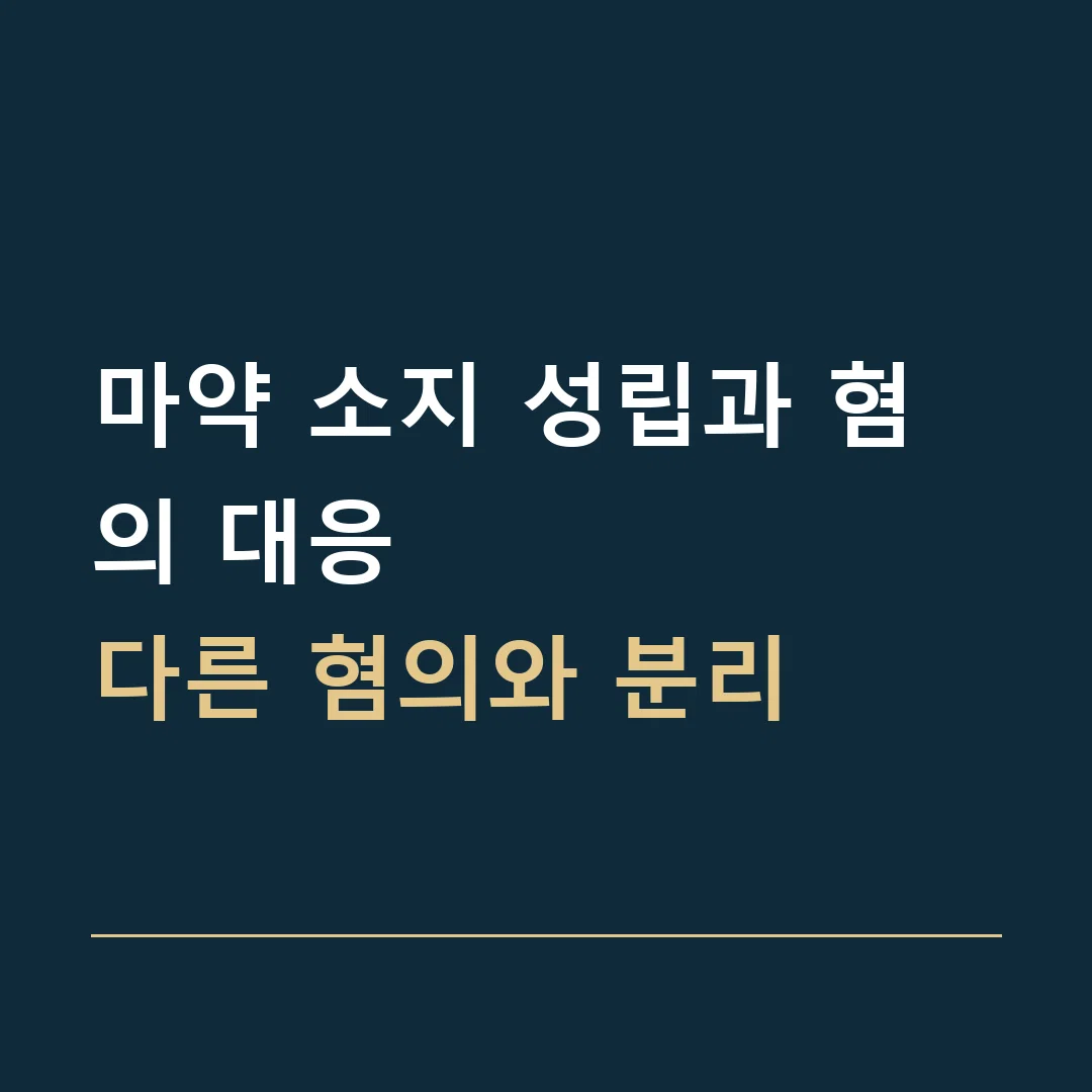 마약 소지 성립과 혐의 대응 · 다른 혐의와 분리